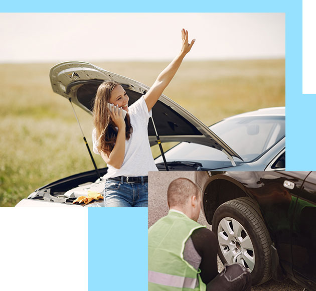 asistencia asistencia