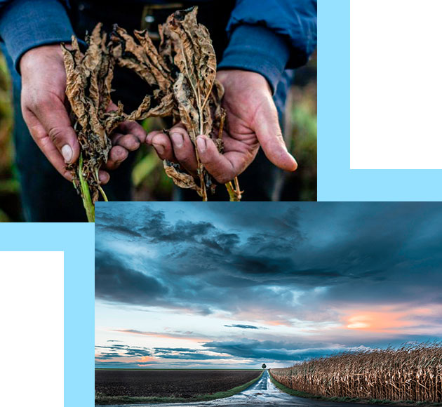 agricola_beneficios agricola_beneficios